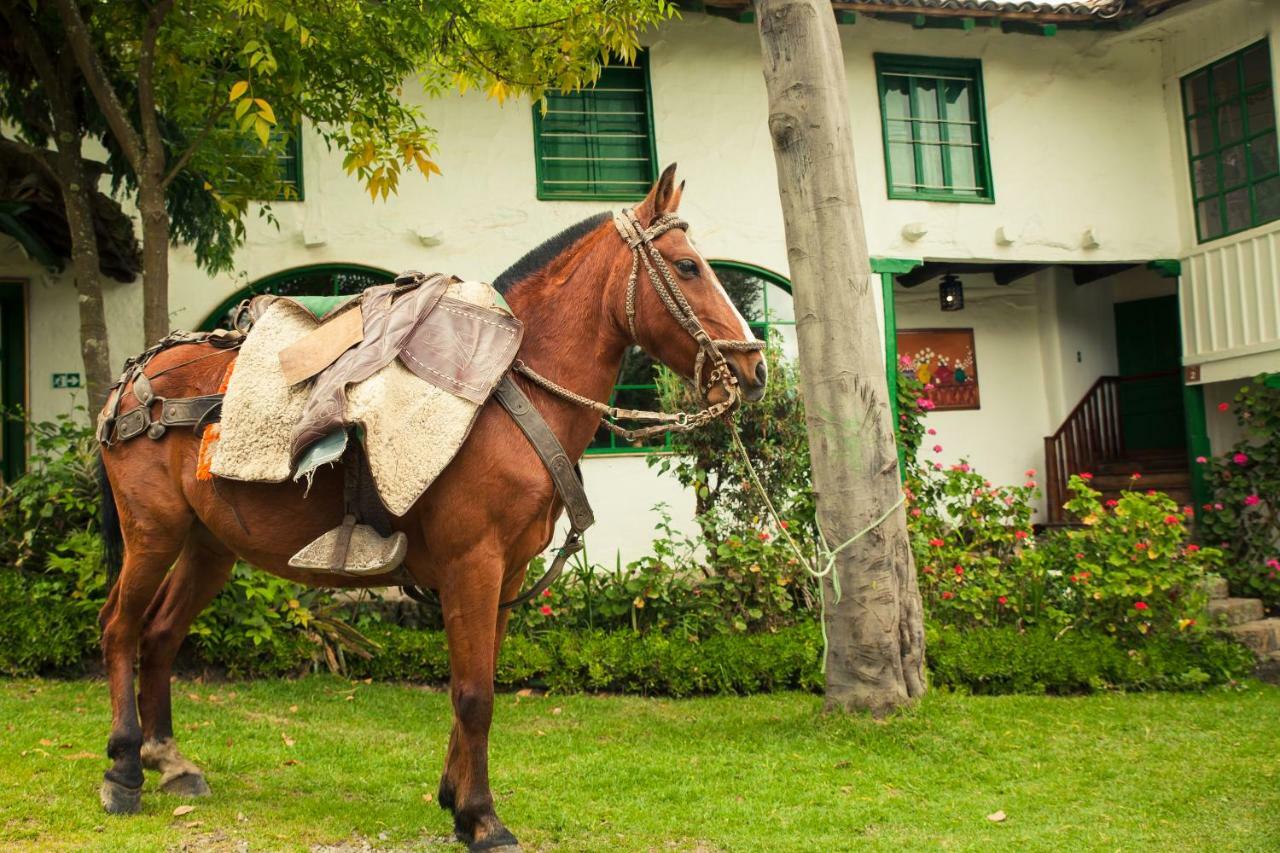 Posada Ingapirca Εξωτερικό φωτογραφία